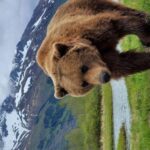 From Anchorage: Wilderness, Wildlife, & Glacier Experience - Easy Departure from Downtown Anchorage