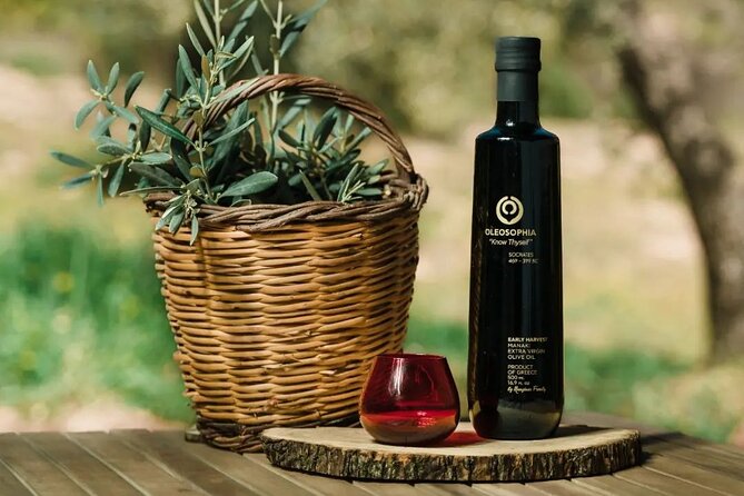 From Athens: Olive Oil Tasting, Olive Grove & Wine Experience - Tasting Greek Olive Oils and Regional Flavors