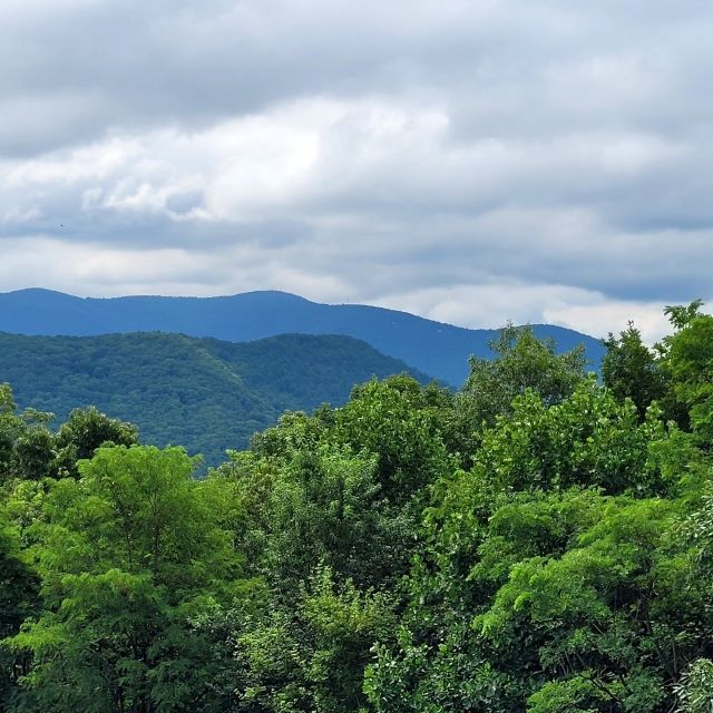 From Atlanta: Half-Day or Full-Day Wine Country Tasting Trip - Starting Point and Transportation Logistics