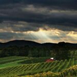 From Atlanta: North Georgia Wine Country Tour - Departure and Meeting Point in Downtown Atlanta