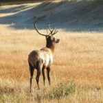 From Banff/Canmore: Deep 1 Day Tour in Banff National Park - Starting Point and Transportation Logistics in Banff