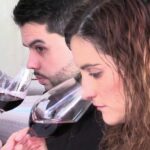 From Barcelona: El Penedès Hike & Wines - Exploring the Penedès DO: One of Europes Oldest Wine Regions