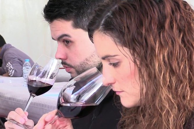 From Barcelona: El Penedès Hike & Wines - Exploring the Penedès DO: One of Europes Oldest Wine Regions