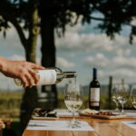 From Bilbao: La Rioja a journey to the vineyards & tradition - Touring the Vineyards: Visits to Two Authentic Wineries