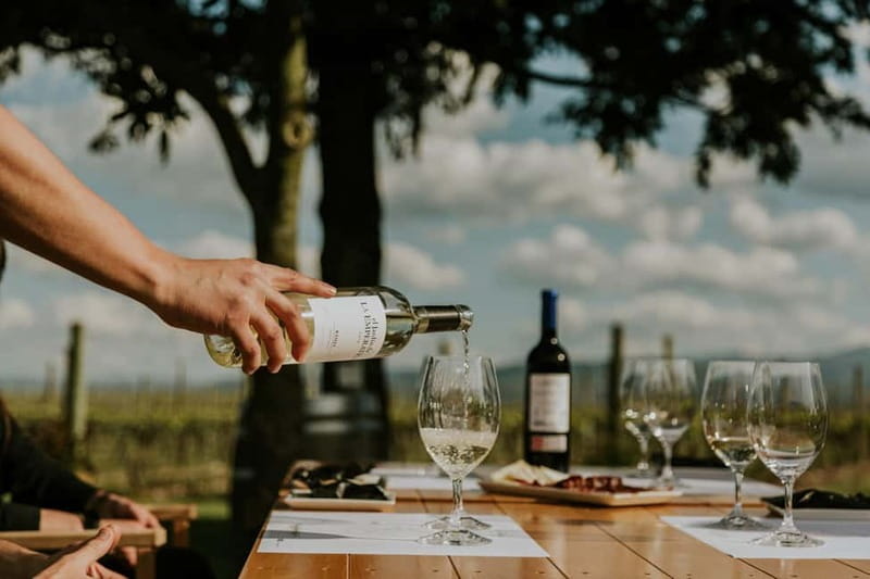 From Bilbao: La Rioja a journey to the vineyards & tradition - Touring the Vineyards: Visits to Two Authentic Wineries