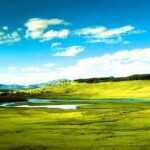 From Bozeman Yellowstone Full Day Tour Upper Loop - Scenic View from Artist Point Over the Yellowstone Grand Canyon