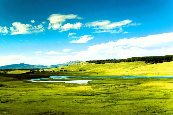 From Bozeman Yellowstone Full Day Tour Upper Loop - Scenic View from Artist Point Over the Yellowstone Grand Canyon