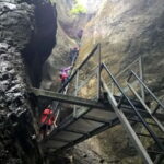 From Brasov: Day Trip to the Seven Ladders Canyon - Hiking Through Forest at Piatra Mare Mountains Foothills