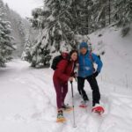 From Brasov: Piatra Craiului Snowshoeing Tour - Starting in Brasov and Reaching Plaiul Foii