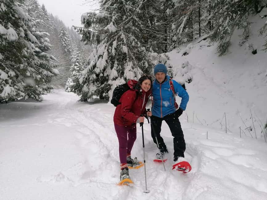 From Brasov: Piatra Craiului Snowshoeing Tour - Starting in Brasov and Reaching Plaiul Foii