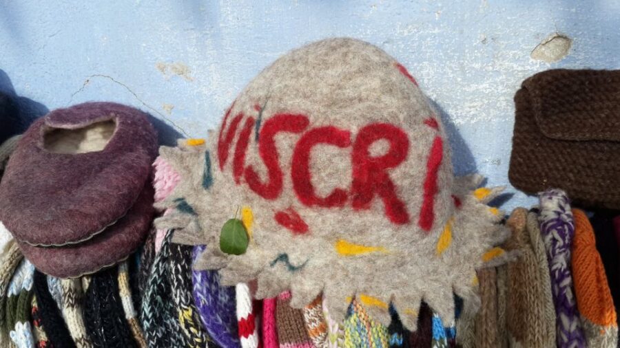 From Brasov: Sighisoara and Viscri UNESCO Day Tour - Exploring Sighisoara’s Medieval Fortress and Birthplace of Vlad the Impaler