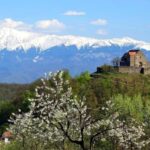 From Brasov  Transylvania Day Tour: Noble Heritage - Exploring the Noble Interiors of Kálnoky Castle in Miclooara