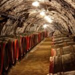 From Budapest: Tokaj Wine Tour with Tasting and Lunch - Visit a Traditional Tokaj Winery and Meet the Winemakers