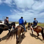 From Bufadora: Horseback Adventure - Playa Hermosa Beach: Guided Horseback Ride