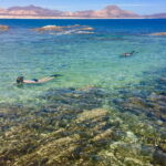From Cabo: Cabo Pulmo Marine Park Snorkeling and Kayaking - Discover North America’s Only Hard Coral Reef