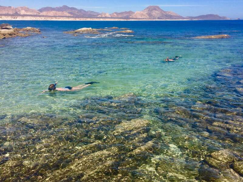 From Cabo: Cabo Pulmo Marine Park Snorkeling and Kayaking - Discover North America’s Only Hard Coral Reef