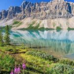 From Calgary: Explore 4 Stunning Lakes in Banff & Yoho - The Lakes: Lake Louise, Peyto Lake, Bow Lake, and Emerald Lake