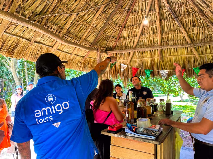 From Cancun: Chichen Itza, Cenote & Valladolid Day Trip - Meeting Points and Transportation Logistics