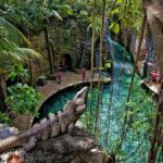 From Cancun: Full Combo to Xcaret Park! - Exploring Xcaret’s Natural Wonders and Cultural Attractions