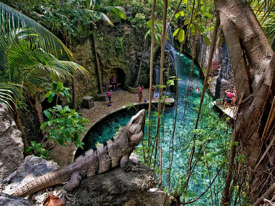 From Cancun: Full Combo to Xcaret Park! - Exploring Xcaret’s Natural Wonders and Cultural Attractions