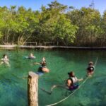 From Cancun or Puerto Morelos: Holbox Boat Tour with Lunch - Pickup and Transportation from Cancun or Puerto Morelos