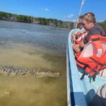 From Cancun: Rio Lagartos and Las Coloradas Day Trip - Pickup and Transportation in Cancun