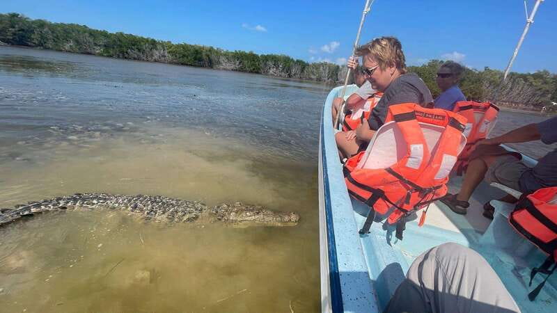 From Cancun: Rio Lagartos and Las Coloradas Day Trip - Pickup and Transportation in Cancun