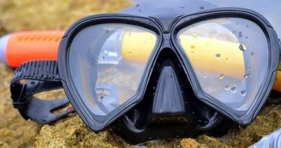 From Cancun: Whale Sharks Snorkeling - Convenient Pickup and Transportation from Cancun