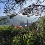 From Cardiff: Guided Tour of Welsh Valleys - From Cardiff to the Wye Valley and Tintern Abbey