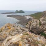 From Cardiff: Mumbles and Gower Peninsular Tour - Starting Point and Logistics in Cardiff