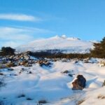 From Catania: Guided Tour of Mount Etna and Taormina - Exploring Mount Etna’s Craters and Lava Caves