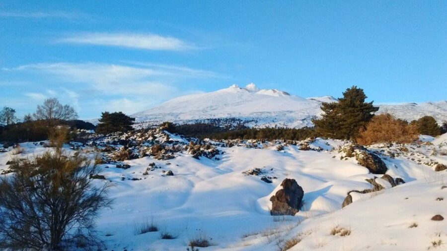 From Catania: Guided Tour of Mount Etna and Taormina - Exploring Mount Etna’s Craters and Lava Caves
