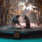 From cdmx: Tour in Coyoacan and Xochimilco all inclusive - Exploring Coyoacán’s Colonial Streets and Artistic Heritage