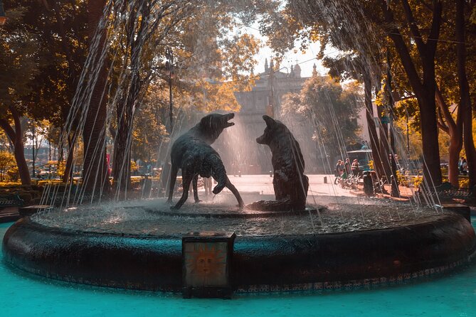 From cdmx: Tour in Coyoacan and Xochimilco all inclusive - Exploring Coyoacán’s Colonial Streets and Artistic Heritage