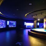From city of Side: Antalya Aquarium Full-Day Trip - Exploring the Antalya Aquarium: Marine Life and More