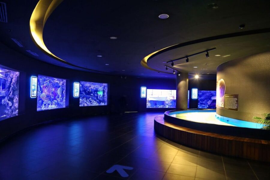 From city of Side: Antalya Aquarium Full-Day Trip - Exploring the Antalya Aquarium: Marine Life and More