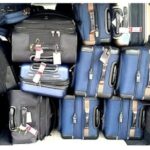 From Civitavecchia Cruise Port to FCO Airport or Rome - The Vehicle Fleet: Comfort and Convenience