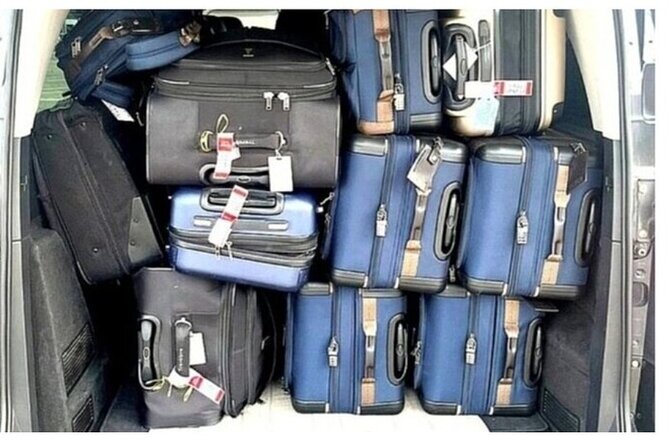 From Civitavecchia Cruise Port to FCO Airport or Rome - The Vehicle Fleet: Comfort and Convenience