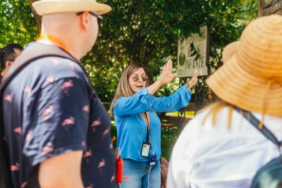 From Costa del Sol: Ronda and Setenil de las Bodegas - Starting the Day from the Costa del Sol