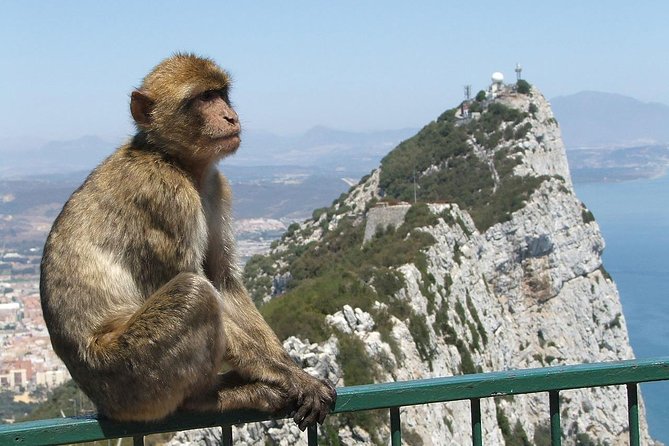 From Costa del Sol: The Gibraltar classic Rock tour - Key Points