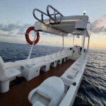 From Cozumel: Double Tank Scuba Diving for Certified Divers - Two Carefully Chosen Dive Sites Based on Conditions