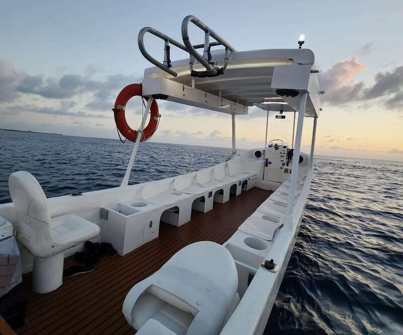 From Cozumel: Double Tank Scuba Diving for Certified Divers - Two Carefully Chosen Dive Sites Based on Conditions