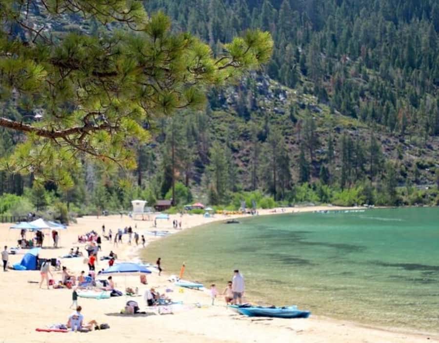 From Cupertino: Small Group Lake Tahoe Tour - Flexible Stops and Scenic Views during the 12-Hour Trip