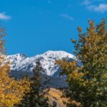 From Denver: Hike the Rockies Tour - The 4-Mile Forest Trail: What to Expect