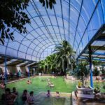 From Denver: Small Group Mount Evans & Hot Springs Day Tour - Starting Point and Schedule for a Rocky Mountain Adventure