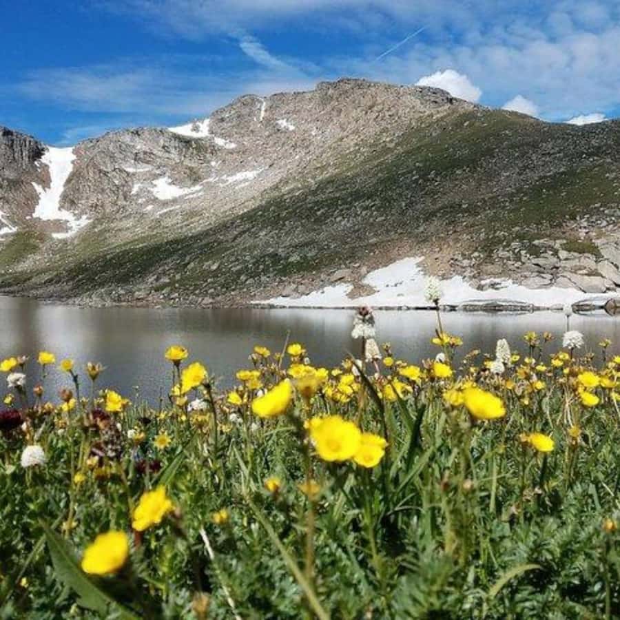 From Denver - Small group tour to Mount Evans/Mount Blue Sky - Visiting Echo Lake and Summit Lake Park