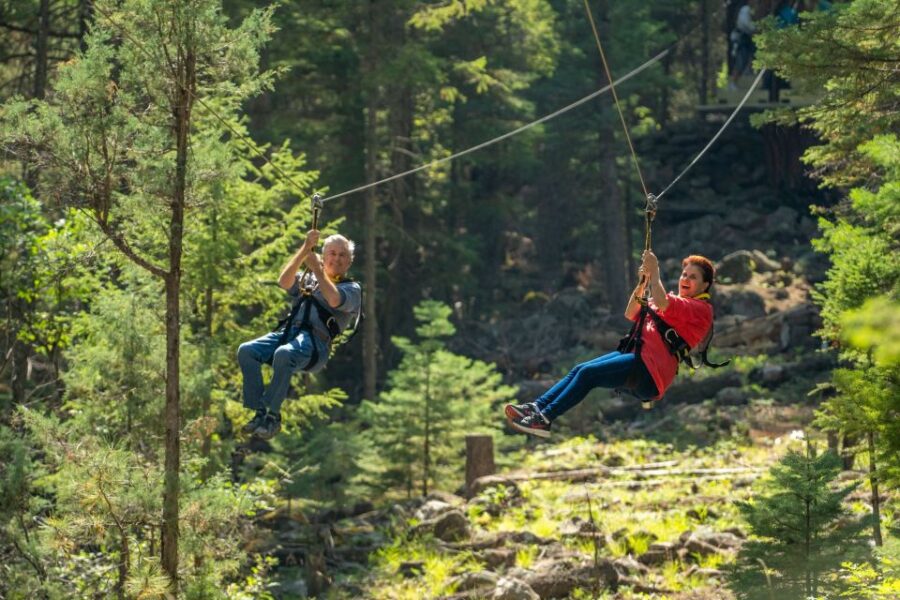 From Durango: All-Day Zipline Adventure with Train & Lunch - The Heart of the Wilderness: Remote Meeting Point and Forest Access