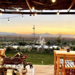 From Ensenada: Ojos Negros Valley Cheese & Wine Tasting Tour - The Charm of Infinito Winery and Pepe Pedrosa’s Expertise