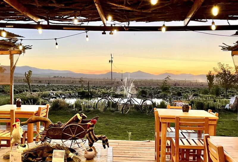 From Ensenada: Ojos Negros Valley Cheese & Wine Tasting Tour - The Charm of Infinito Winery and Pepe Pedrosa’s Expertise