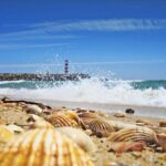 From Faro: Ria Formosa Eco Tour guided by Marine Biologist - Departure Location and Scheduling in Faro